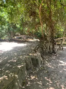 Imagem 5 - Terreno em Jardim Amazonia II, Barra do Garças - MT