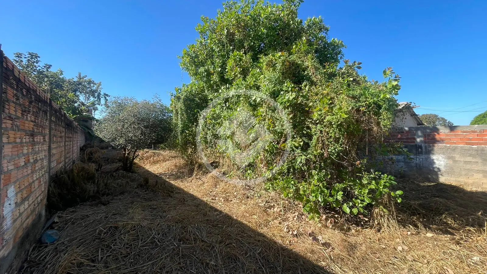 Imagem 1 - Terreno em Anchieta, Barra do Garças - MT