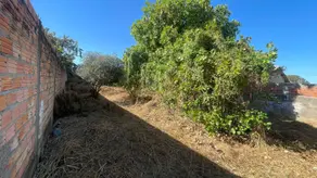 Imagem 3 - Terreno em Anchieta, Barra do Garças - MT