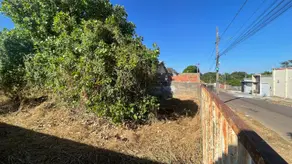 Imagem 2 - Terreno em Anchieta, Barra do Garças - MT