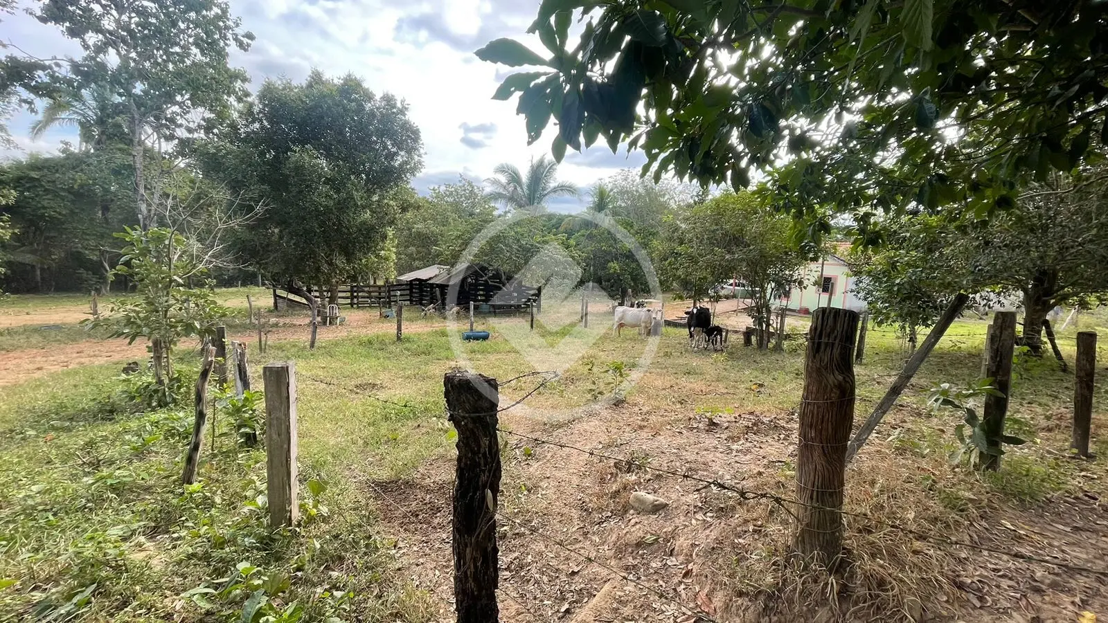 Image 2 - Chácara em Zona Rural, Aragarças - GO