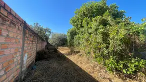 Imagem 6 - Terreno em Anchieta, Barra do Garças - MT