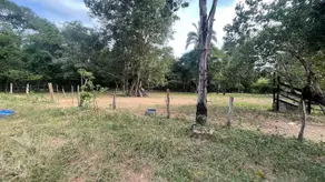 Imagem 5 - Chácara em Zona Rural, Aragarças - GO