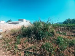 Imagem 5 - Terreno em Tamburi, Barra do Garças - MT