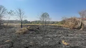 Terreno São Conrado, Barra do Garças - MT — foto 1