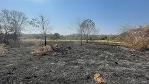 Imagem 2 - Terreno em São Conrado, Barra do Garças - MT