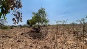 Imagem 3 - Terreno em São Conrado, Barra do Garças - MT