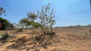 Imagem 2 - Terreno em Cidade Universitária, Barra do Garças - MT