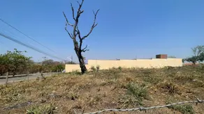 Imagem 2 - Terreno em Tamburi, Barra do Garças - MT