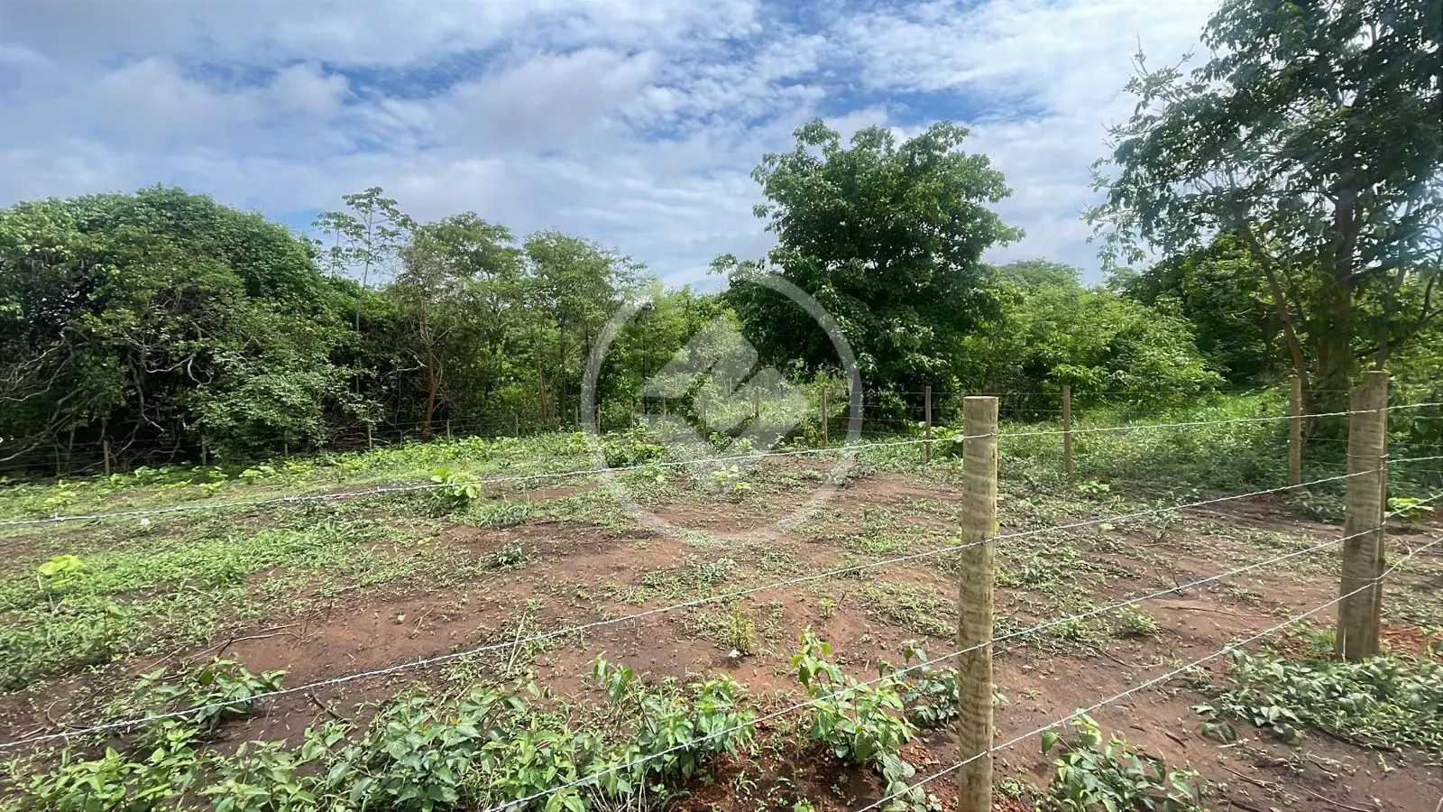 Imagem 1 - Terreno em Jardim Nova Barra Sul, Barra do Garças - MT