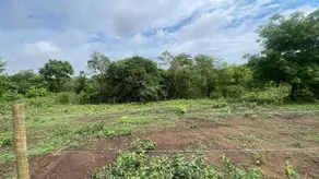 Imagem 2 - Terreno em Jardim Nova Barra Sul, Barra do Garças - MT