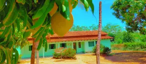 Chácara Rural, Nova Xavantina - MT — foto 1