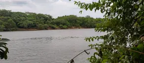 Imagem 5 - Chácara em Rural, Nova Xavantina - MT