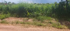 Imagem 2 - Terreno em Jardim Nova Barra Norte, Barra do Garças - MT