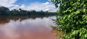 Imagem 4 - Chácara em Zona Rural, Aragarças - GO