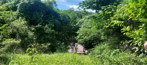Imagem 5 - Chácara em Zona Rural, Aragarças - GO