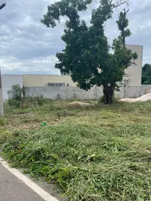 Imagem 2 - Terreno em Área de Tal, Pontal do Araguaia - MT