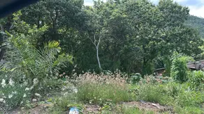 Terreno Jardim Amazonia II, Barra do Garças - MT — foto 2