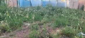 Imagem 3 - Terreno em Jardim Serra Dourada, Barra do Garças - MT