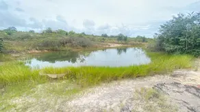 Imagem 3 - Fazenda em Zona Rural, Bom Jardim de Goiás - GO