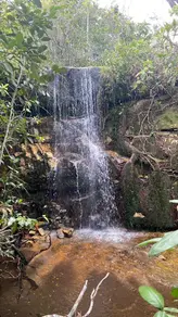 Fazenda Zona Rural, Bom Jardim de Goiás - GO — foto 2
