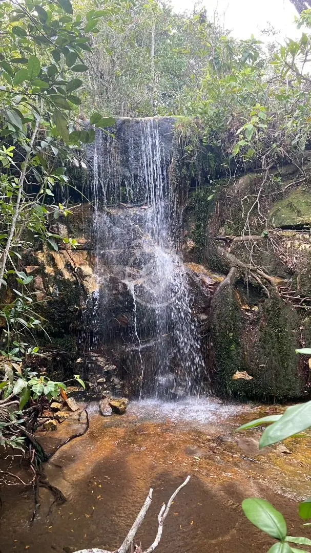 Image 2 - Fazenda em Zona Rural, Bom Jardim de Goiás - GO