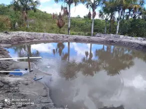 Imagem 2 - Fazenda em Zona Rural, Bom Jardim de Goiás - GO