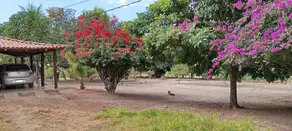 Imagem 4 - Fazenda em Zona Rural, Bom Jardim de Goiás - GO