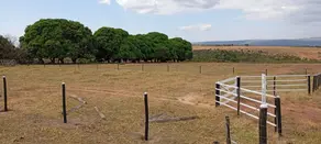 Imagem 5 - Fazenda em Zona Rural, Bom Jardim de Goiás - GO