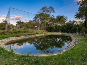 Imagem 2 - Chácara em Jardim Nova Barra Norte, Barra do Garças - MT