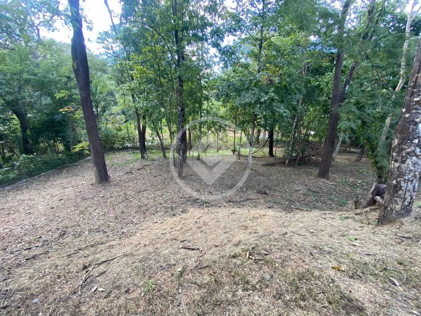 Imagem 1 - Chácara em Jardim Nova Barra Norte, Barra do Garças - MT