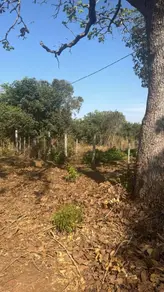 Imagem 2 - Terreno em Saída Para Araguaiana, Barra do Garças - MT