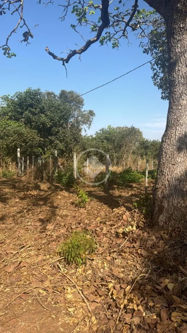 Image 3 - Terreno em Saída Para Araguaiana, Barra do Garças - MT