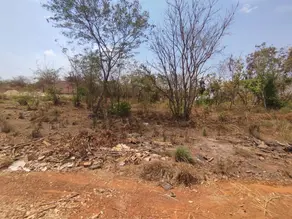 Terreno Jardim dos Ipês, Barra do Garças - MT — foto 1