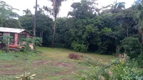 Imagem 2 - Chácara em Zona Rural, Barra do Garças - MT