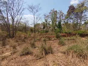 Terreno Jardim dos Ipês, Barra do Garças - MT — foto 2