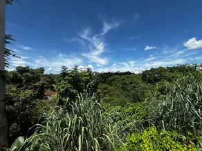 Imagem 3 - Casa em Centro, Barra do Garças - MT