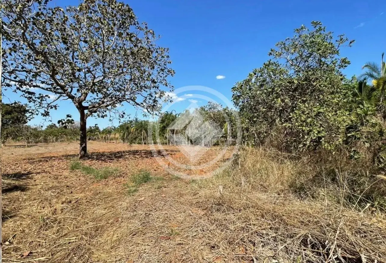 Image 2 - Chácara em Rural, Pontal do Araguaia - MT