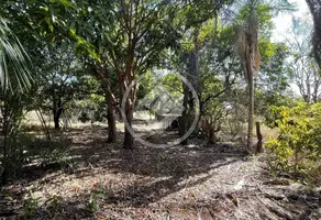 Imagem 2 - Chácara em Rural, Pontal do Araguaia - MT