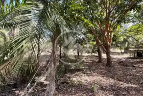 Imagem 4 - Chácara em Rural, Pontal do Araguaia - MT