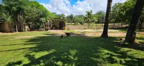Chácara Zona Rural, Pontal do Araguaia - MT — foto 2