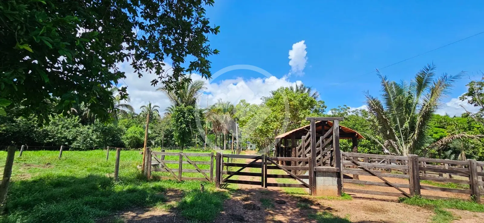 Imagem 1 - Chácara em Zona Rural, Pontal do Araguaia - MT