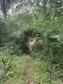 Imagem 5 - Chácara em Zona Rural, Pontal do Araguaia - MT