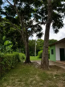 Imagem 3 - Chácara em Rural, Araguaiana - MT
