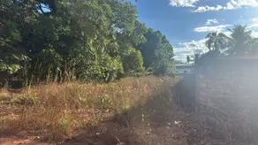 Imagem 4 - Terreno em Jardim Nova Barra Norte, Barra do Garças - MT