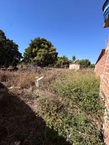 Imagem 3 - Terreno em Jardim Palmares, Barra do Garças - MT