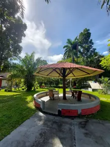 Imagem 4 - Fazenda em Zona Rural, Araguaiana - MT