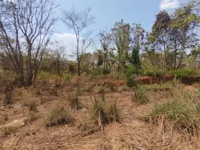Imagem 2 - Terreno em Jardim Nova Barra do Garças, Barra do Garças - MT
