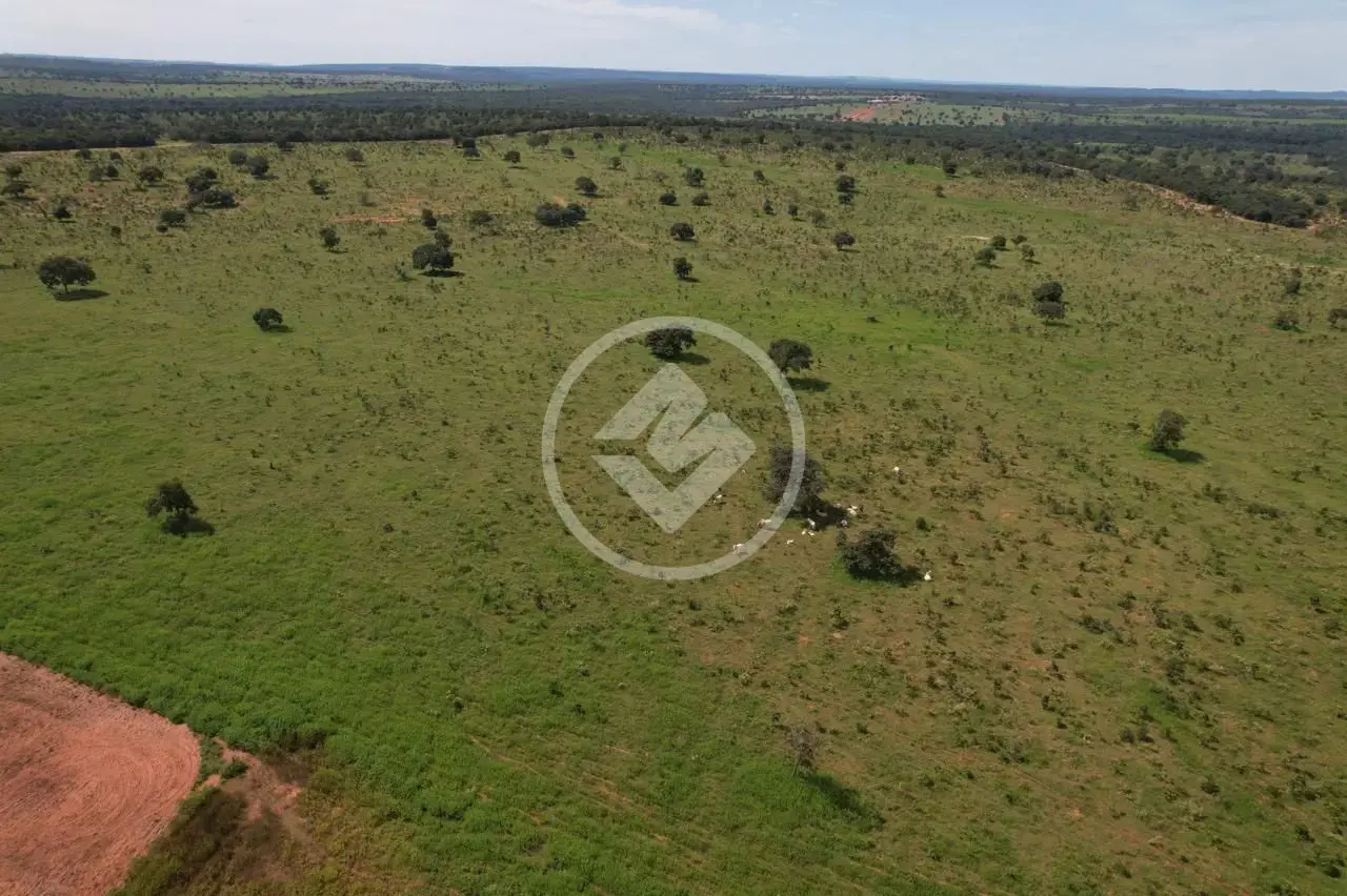 Imagem 1 - Fazenda em Area Rural, Tesouro - MT