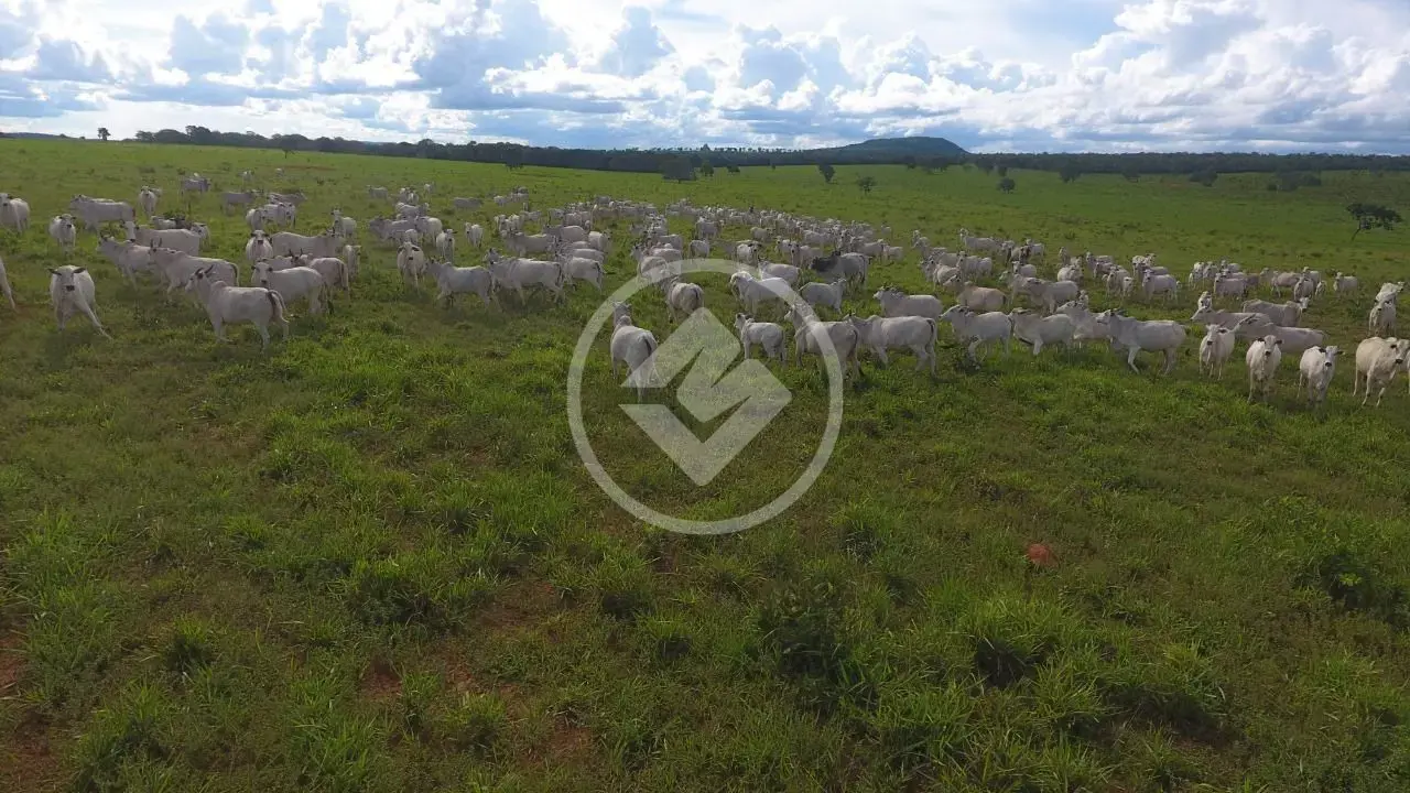 Imagem 3 - Fazenda em Area Rural, Tesouro - MT
